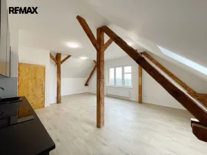 Pronájem bytu 1+kk, Lety, 45 m2