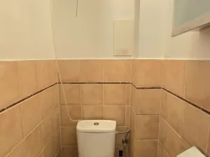 Pronájem bytu 1+1, Praha, Blahníkova, 40 m2