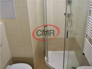 Pronájem bytu 2+kk, Milovice, Slepá, 33 m2