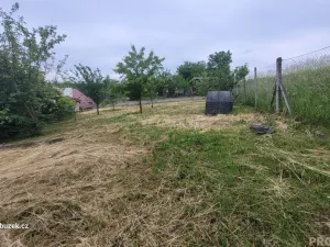 Pronájem rodinného domu, Hradčany-Kobeřice, 120 m2