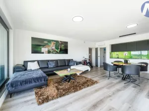 Pronájem bytu 3+kk, Hluboká nad Vltavou, Potoční, 105 m2