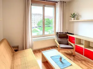 Pronájem bytu 1+kk, Praha - Žižkov, Havlíčkovo náměstí, 32 m2