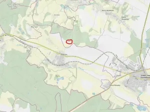 Prodej lesa, Ždírec nad Doubravou, 900 m2