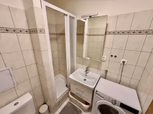 Prodej bytu 2+kk, Praha - Žižkov, Dalimilova, 50 m2