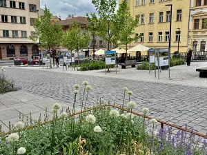 Prodej bytu 2+kk, Praha - Žižkov, Dalimilova, 50 m2