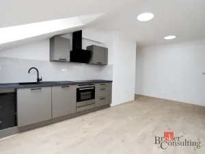 Pronájem bytu 2+1, Plzeň - Jižní Předměstí, Palackého, 65 m2