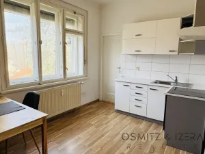 Pronájem bytu 1+1, Praha - Smíchov, Franty Kocourka, 55 m2
