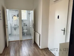 Pronájem bytu 1+1, Praha - Smíchov, Franty Kocourka, 55 m2