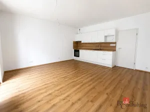 Prodej bytu 1+kk, Plzeň - Jižní Předměstí, Měděná, 41 m2