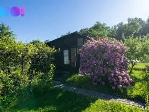 Prodej zahrady, Havířov - Dolní Datyně, 569 m2
