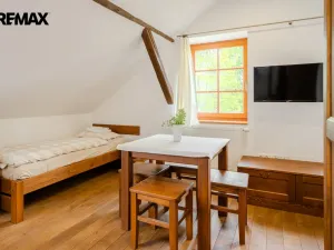 Prodej zemědělské usedlosti, Holetín - Horní Holetín, 800 m2