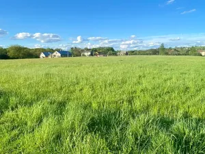 Prodej pozemku pro bydlení, Horní Bludovice, 1584 m2