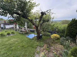 Prodej chaty, Vysoké Mýto, 17 m2
