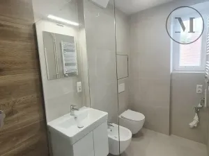 Pronájem bytu 2+kk, České Budějovice, Heydukova, 65 m2