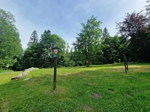 Prodej komerčního pozemku, Mařenice, 1610 m2