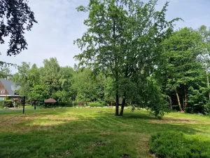 Prodej komerčního pozemku, Mařenice, 1610 m2