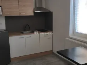 Pronájem bytu 1+kk, Přimda - Újezd pod Přimdou, 26 m2
