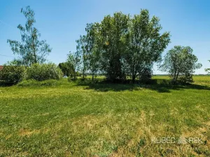 Prodej pozemku pro bydlení, Nová Ves u Chýnova, 740 m2
