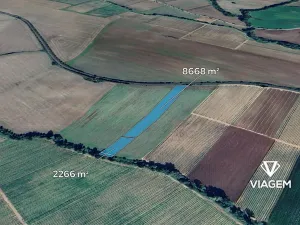 Prodej podílu pole, Mutějovice, 911 m2
