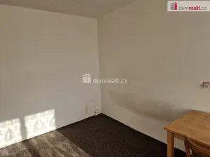 Pronájem bytu 1+kk, Praha - Holešovice, Malá Plynární, 26 m2