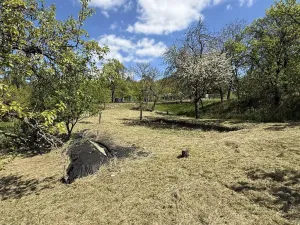 Prodej zahrady, Slavkov u Brna, 539 m2