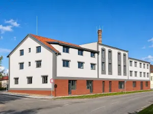 Pronájem bytu 1+kk, Syrovice, 27 m2