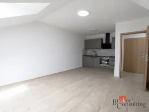 Pronájem bytu 3+kk, Plzeň - Jižní Předměstí, Palackého, 60 m2