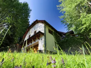 Prodej vily, Přední Výtoň, Frýdava, 299 m2