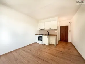 Prodej bytu 1+1, Bílina - Teplické Předměstí, Sídliště Za Chlumem, 35 m2