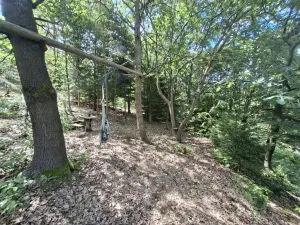 Prodej chaty, Týnec nad Sázavou - Pecerady, 30 m2