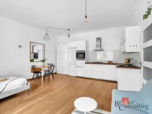 Prodej bytu 1+kk, Praha - Bubeneč, N. A. Někrasova, 50 m2