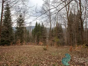 Prodej chalupy, Josefův Důl, 170 m2