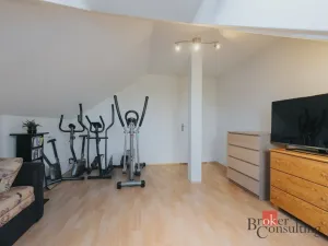 Pronájem bytu 3+kk, Benátky nad Jizerou, 78 m2