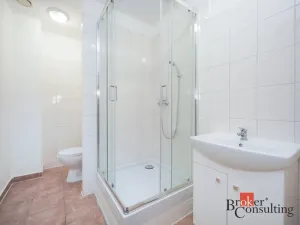 Pronájem bytu 2+kk, Mlékojedy, 51 m2