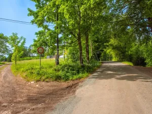 Prodej pozemku pro bydlení, Broumov - Rožmitál, 3146 m2