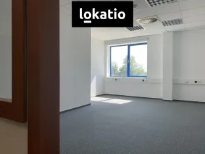 Pronájem skladu, Praha - Zličín, Na Radosti, 529 m2