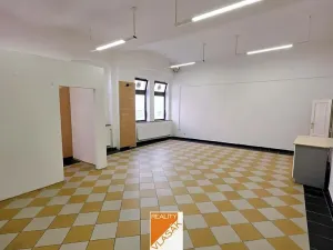 Pronájem obchodního prostoru, Kadaň, Boženy Němcové, 53 m2