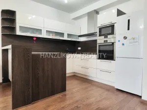 Pronájem bytu 3+kk, České Budějovice - České Budějovice 3, B. Smetany, 78 m2