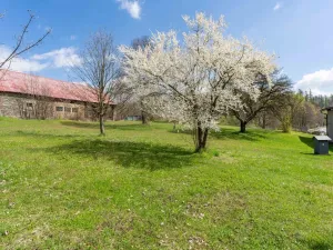 Prodej pozemku pro bydlení, Václavov u Bruntálu - Horní Václavov, 3285 m2