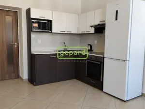 Pronájem bytu 2+kk, Brno - Husovice, Svitavská, 44 m2