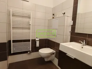 Pronájem bytu 2+kk, Brno - Husovice, Svitavská, 44 m2