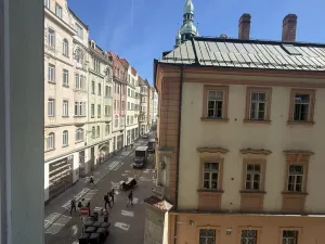 Pronájem bytu 1+kk, Brno - Brno-město, Panská, 39 m2