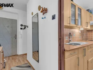 Prodej bytu 3+1, Hodonín, U Červených domků, 50 m2