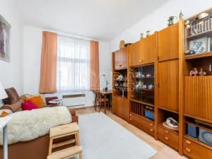 Prodej bytu 1+kk, Praha - Nusle, Sezimova, 22 m2