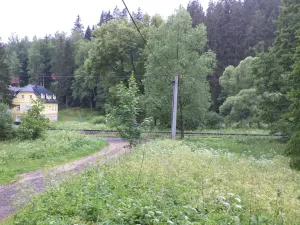Prodej pozemku, Teplice nad Metují - Horní Teplice, 18922 m2