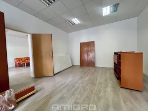 Pronájem bytu 2+1, Brno, Pekařská, 75 m2