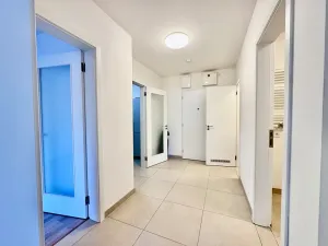 Prodej bytu 2+1, Brno, U Červeného mlýna, 57 m2