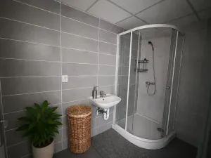 Pronájem bytu 2+1, Litvínov, Alešova, 51 m2