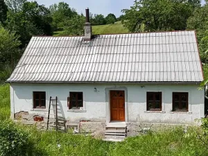 Prodej chalupy, Dlouhá Loučka, 80 m2