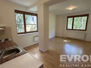 Pronájem bytu 1+kk, Vrchlabí, Českých bratří, 30 m2